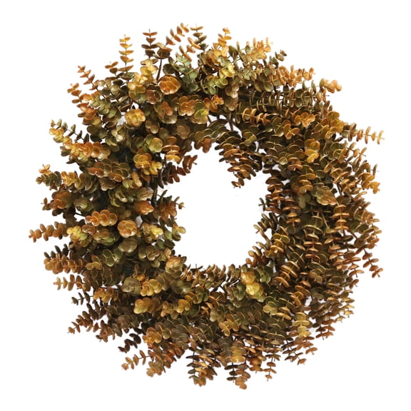 Eucalyptus Wreath, Brown, 24", Fall by Way To Celebrate