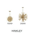 thumbnail image 5 of 65W 13 Led Large Orb Chandelier In Modern Style-42 Inches Tall And 36 Inches Wide Hinkley Lighting Fr40905bgr, 5 of 7