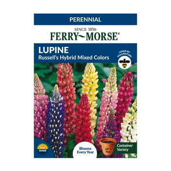 Ferry-Morse 60MG Lupine Russell's Hybrid Mixed Colors Perennial Flower  Packet (1 Pack)- Seed Gardening, Partial Shade