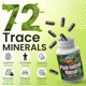 thumbnail image 2 of Suplemento Outback Naturals Fulvic Humic Mineral 60 cápsulas, 2 of 7