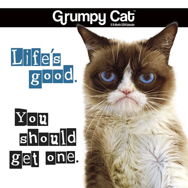 2019 Grumpy Cat Mini Calendar