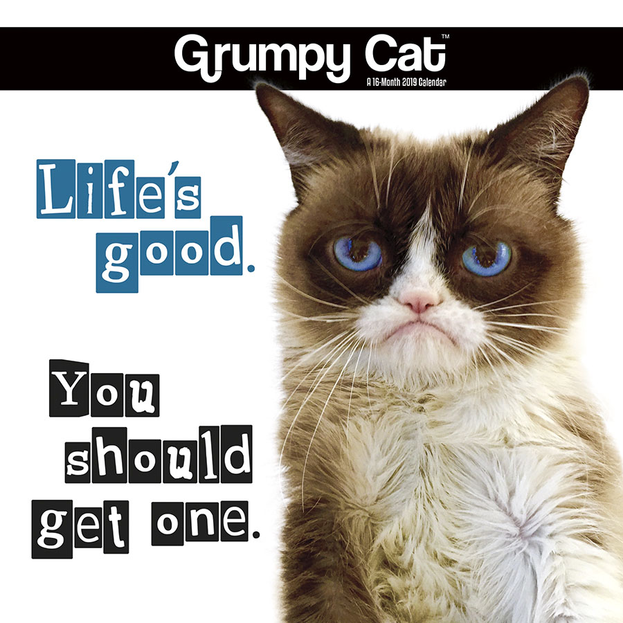 2019 Grumpy Cat Mini Calendar Walmart Walmart 2019 Grumpy Cat Mini Calendar Walmart Walmart
