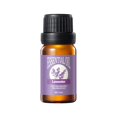 thumbnail image 2 of Plant Extract Essential Oil Gua Sha Massage Wormwood Aromatherapy Essential Oil 10ml, 2 of 2