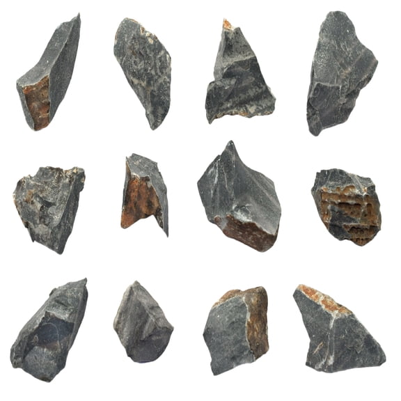 12PK Raw Chert, Mineral Specimens - Approx. 1" - Geologist Selected & Hand Processed - Great for Science Classrooms - Class Pack - Eisco Labs