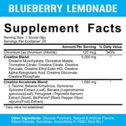 5% Nutrition CreaTEN Flavored Creatine Powder Supplement for Muscle Gain Max Power Strength Endurance and Recovery (Blueberry Lemonade)