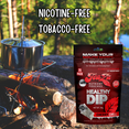 thumbnail image 2 of Teaza Energy Pouches, Tobacco Free Nicotine Free Dip Smokeless Alternative Snuff & Energy Dip Chewing Tobacco Alternative Healthy Dipping Premium Flavored Cherry Chill (1 Pack), 2 of 5