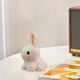 thumbnail image 4 of Llavero colgante de conejito de peluche – Lindo adorno de conejito de Pascua para llaves, bolsos y mochilas con material de felpa suave, fácil de limpiar, regalo ideal para las fiestas., 4 of 6