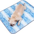 thumbnail image 4 of Pet Cool Ice Silk Mat Colchón transpirable de verano Colchoneta duradera para dormir (S) Likrtyny Para estrenar, 4 of 9