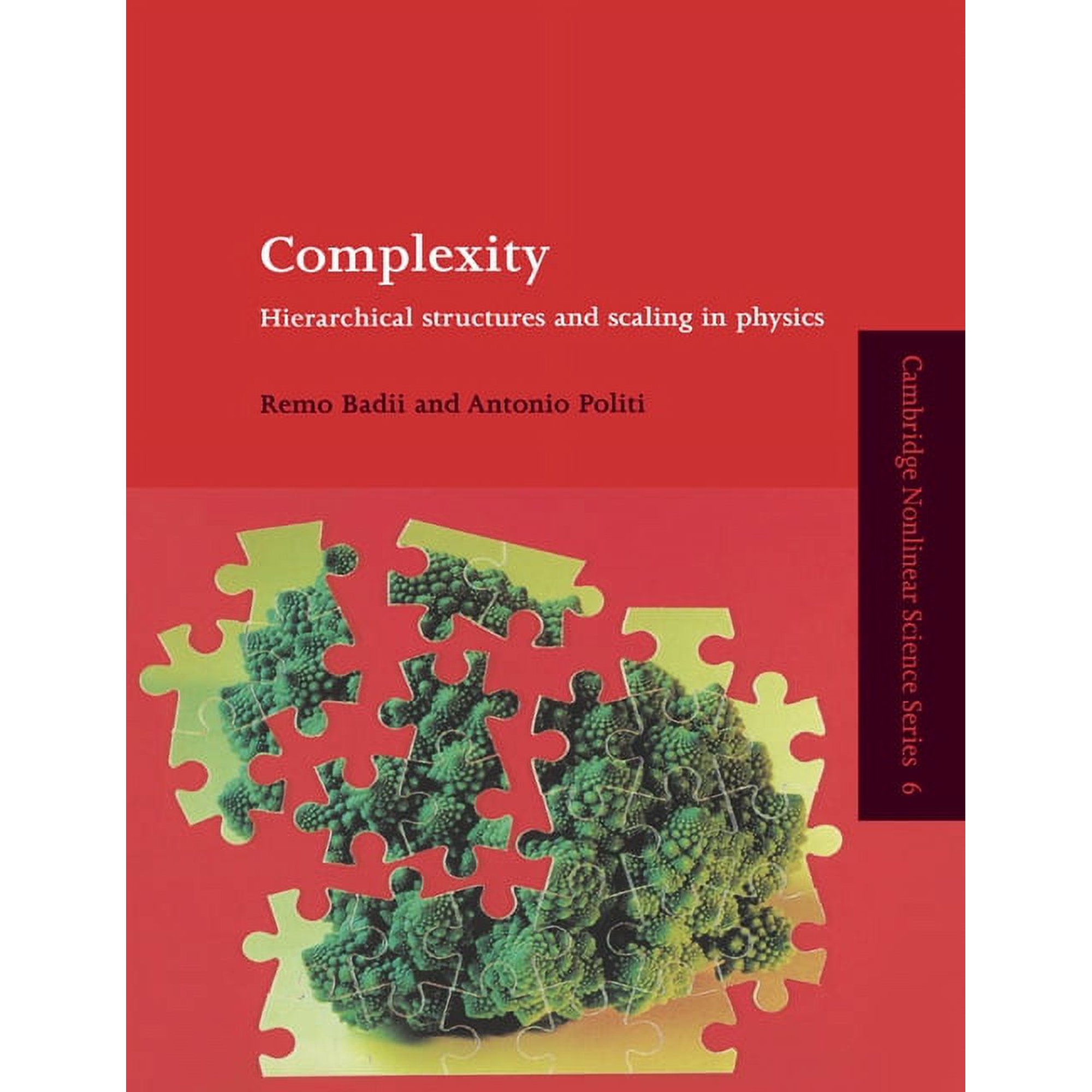 Cambridge Nonlinear Science Complexity: Hierarchical Structures and Scaling in Physics Book 6 (Paperback)