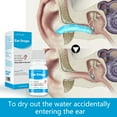 Ear Drops Formulated to Treat Swimmers Surfer EarInfections Relieves