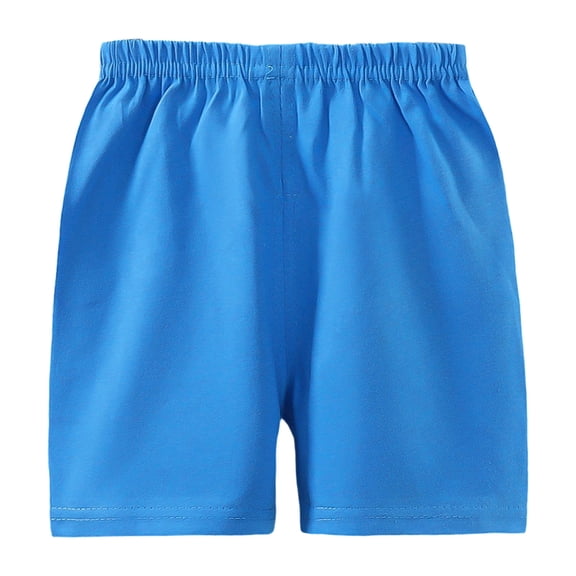 Quealent Toddler Baby Boy Shorts Cotton Elastic Waist Breathable Dinosaur Clothes Sizes 9M-5T Kids Comfortable Playwear (Sky Blue, 2-3 Years)