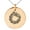 Rose, variant on Stainless Steel Aztec Ouroboros Serpent Rune Engraved Small Medallion Circle Charm Pendant Necklace