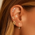 thumbnail image 2 of 20Gauge Cartilage Earrings for Women Flat Back-Hypoallergenic Surgical Stainless Steel Stud Hoop Cartilage Earring Set Daith Conch Tragus Helix Piercing Jewelry Single, 2 of 6