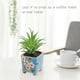 thumbnail image 3 of Simulación de suculentas bonsái, adornos creativos, mesa de comedor de flores, plantas de interior, plantas verdes en macetas, 3 of 5