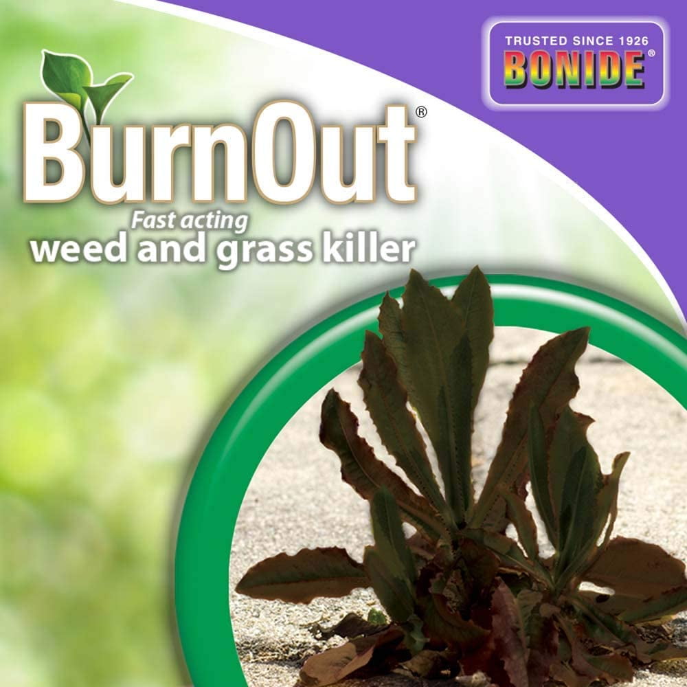 Bonide Products 217117 1 gal Burnout Grass & Weed Killer