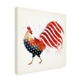 thumbnail image 2 of Victoria Borges 'Rooster Fireworks I' Outdoor Canvas 18x18, 2 of 5