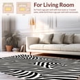 thumbnail image 2 of ODIKA 2'x3' Machine Washable Non-Slip Area Rug, Striking Zebra Stripe Design with Dynamic Contrast High Traffic Rug, Black, 292729, 2 of 7