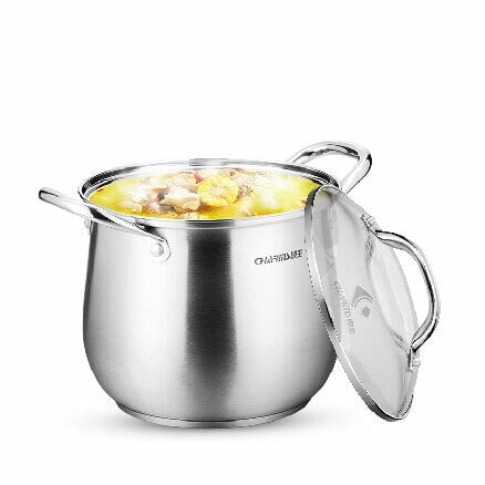 Charms en Acier Inoxydable Haut Pot avec Couvercle en Verre 22jrc20 22cm