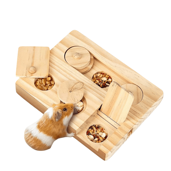 chaungfeng Guinea Pig Foraging Balls, 6 in 1 Hamsters Wooden Interactive Enrichment Balls, Treat Dispenser for Small Animal, for Rabbits, Bunny, Chinchillas, Rats and Gerbils