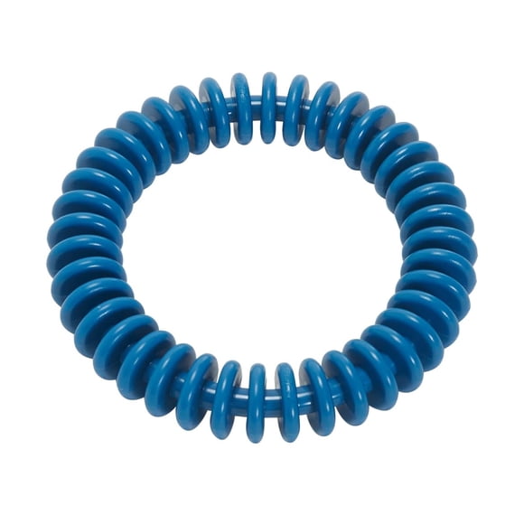 Sporti 6" Dive Ring - Blue