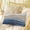 Blue, variant on Blue Beige Standard Size Pillow Cover, Pillowcase Protectors with Zipper, Breathable Decorative Throw Pillow Case Cover, Coastal Wave Modern Abstract Art Pillow Shams for Couch Sofa 20x26Inch