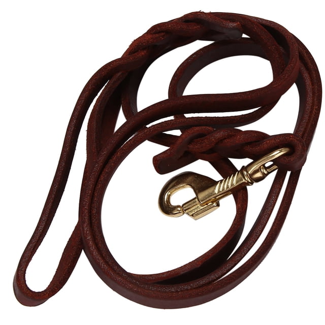 Collier de Traction pour Chien en Cuir Tressé de 2M avec Sangle et Laisse