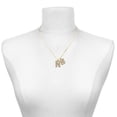 thumbnail image 2 of Delight Jewelry Gold-tone Crystal Initial - N - Large Goldtone Crystal Initial - S - Charm Necklace, 17.5"+2", 2 of 4