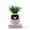 Pink, Gen 2, variant on ITIGOITIE Smart Flowerpot with Artificial Intelligence, Time & Temperature Display, Multiple Expressions, Ideal for Indoor Decoration & Gifts (Pink, Gen 2)