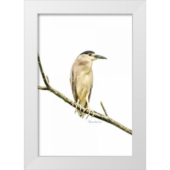 Murdock, Ramona 11x14 White Modern Wood Framed Museum Art Print Titled - Amazon Heron