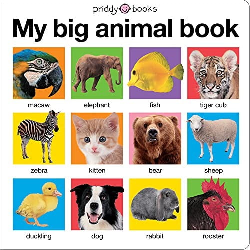 Pre-Owned My Big Animal Book (Hardcover) by Roger Priddy