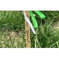 thumbnail image 4 of U-Mark Tekmark Indelible Marking Pen 12 Pack (Blue), 4 of 4