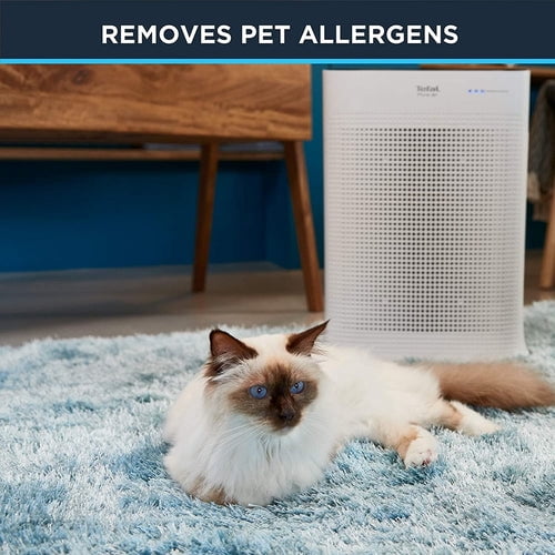 Rowenta purifier 2024