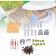 thumbnail image 1 of Plastic Queen Rearing System Bee Queen Rearing Grafting Kit Beekeeping Tool Supplies,DUBUNS, 1 of 5