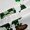 Green 06, variant on Feelyou Gnome Black Out Curtains, St. Patrick's Day Curtains Pack of 2 (42x63 Each)