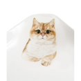 thumbnail image 7 of Pet Portrait White Porcelain Square Plate - I Love British Shorthairs (Golden), 7 of 7