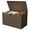 brown, variant on BouPower 120 Gallon Deck Box Organizer,Waterproof Lockable Storage Container,Large Resin Outdoor Storage and Seating,Weather-Resistant Deck Box for Garden,Pool,Patio