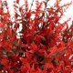 thumbnail image 5 of Luxtrada - 8 paquetes de flores artificiales para exterior, plantas de enredadera, vegetación artificial para interiores y exteriores, plantas colgantes, jardín, porche, ventana, jardinera, hogar,, 5 of 8