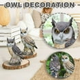 thumbnail image 1 of MesaSe Gardening Resin Crafts  Owls  Rats And Birds  Garden Decorations, 1 of 7