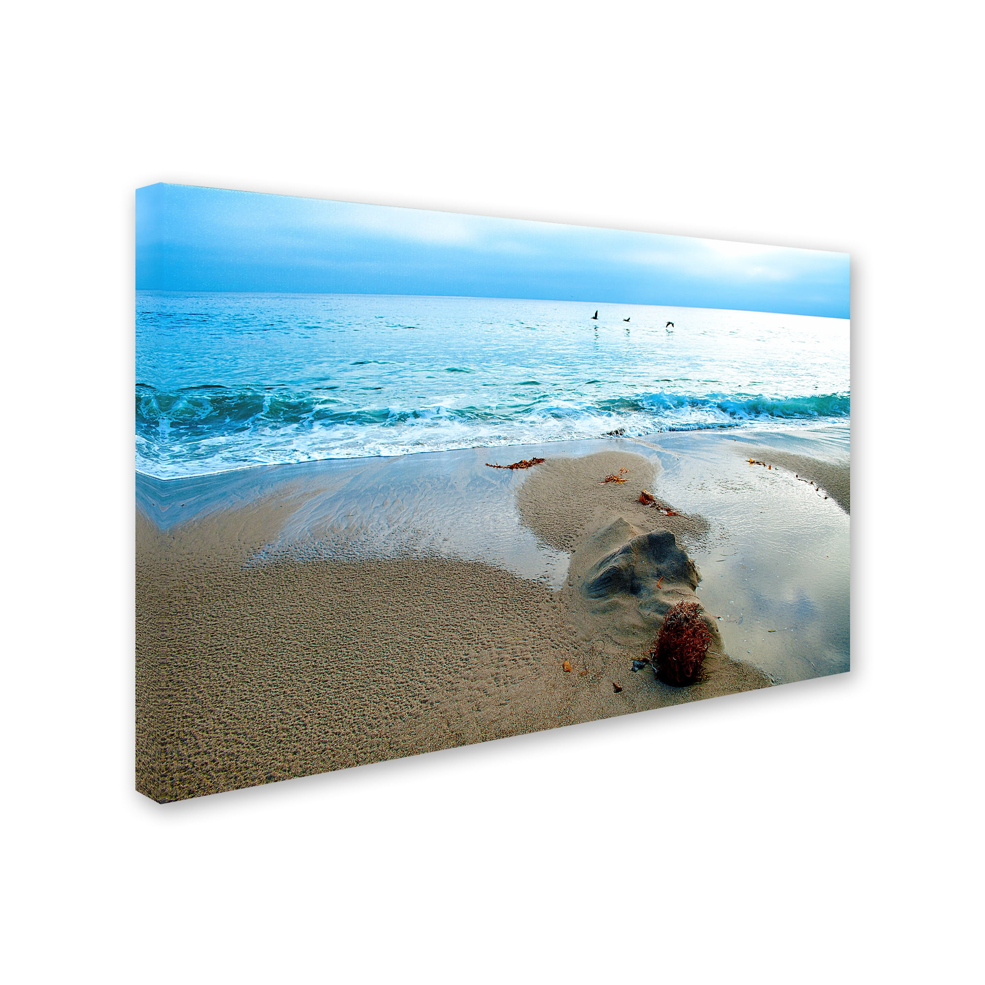 Trademark Fine Art 'Zuma Beach, Ca' Canvas Art by Lori Hutchison