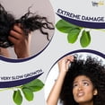 thumbnail image 6 of Wowoils! Super Gro (Fenugreek, Avocado + Mustard Seed Oil) Damaged Hair Growth Oil for Scalp,4.6 oz, 6 of 9