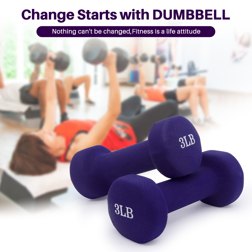 ASA Matte 2 Pound Purple Dumbbells Fitness Neoprene Coated Hand Weights