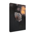 thumbnail image 4 of Canvas Wall Art - Fabien Bravin 'Last Ray' Wall Art for Living Room, Bedroom, or Office Décor by Trademark Fine Art - 30 x 47 Inches, 4 of 4