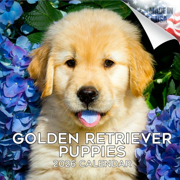 2025 2026 Golden Retriever Puppies Calendar - Dog Breed Monthly Wall Calendar - 12 x 24 Open - Thick No-Bleed Paper - Giftable - Academic Teacher's Planner Calendar Organizing & Planning - Made in USA