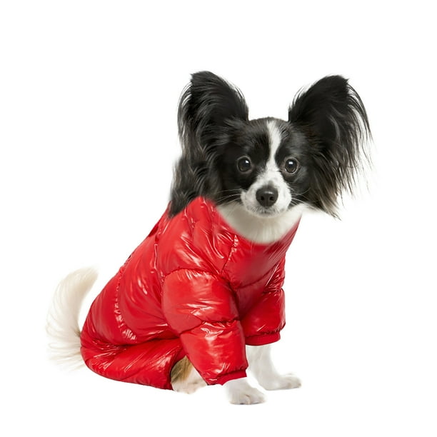 Xihbxyly Artículos para Menores de 10 Años Ropa para Mascotas, Tela de Plumón, Color Camisa de Cuatro Patas con Hebilla