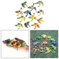 thumbnail image 3 of 2x preciosos modelos de animales, adornos, regalos, juguete Conoscitivo, biología, ciencia, colección de juguetes, decoración para hogar, de animales CUTICAT Modelos simulados, 3 of 7