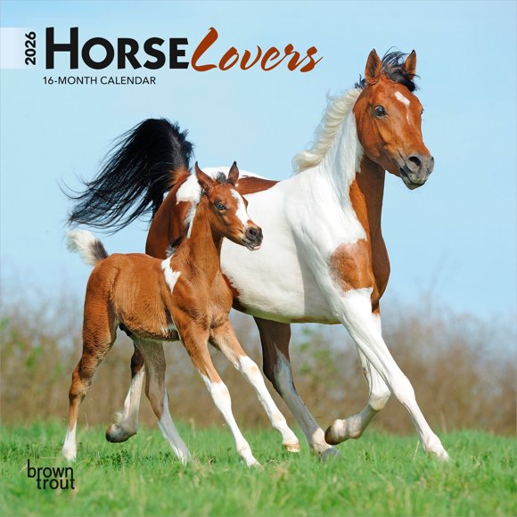 Amoureux des chevaux 2026 Mini 7x7