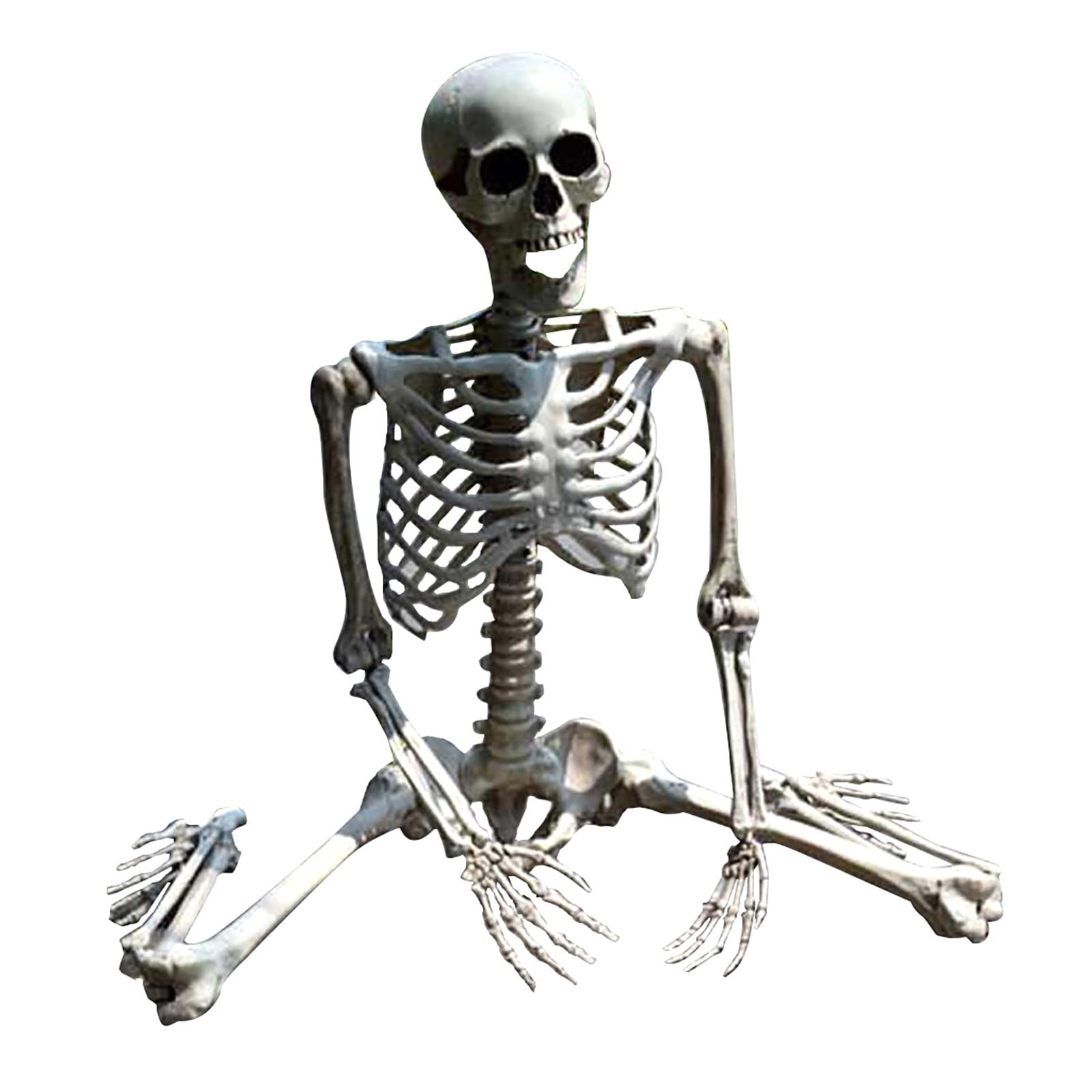 Halloween Props Plastic Human Skeleton Full Size Body Anatomy Model Decoration 
