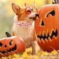 thumbnail image 4 of Collar para perro de estilo único con hebilla metálica para otoño e invierno, 4 of 7