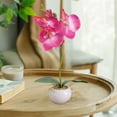 thumbnail image 5 of Artificial Phalaenopsis Orchid Plant in Ceramic Pot Flower Arrangement Home Decor Realistic Silk Flower for Table Centerpiece, 5 of 5