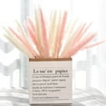 thumbnail image 1 of EIMELI Dried Small Pampas Grass Phragmites Communis Decoration for Home Store Wedding, 1 of 9